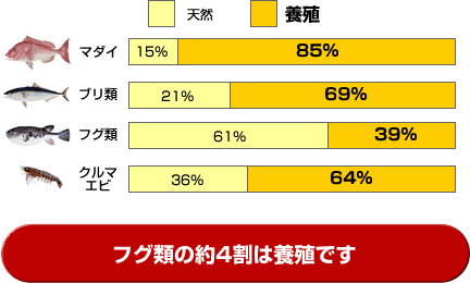 フグ類の約4割は養殖です