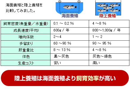 陸上養殖は海面養殖よりも生産効率が大きい