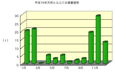 平成16年天然とらふぐ水揚げ量推移